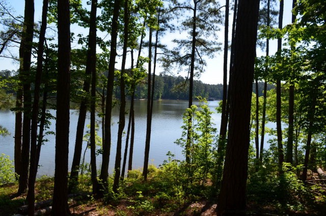 Lot 14, Block 4Faveran Lane, McCormick, SC 29835