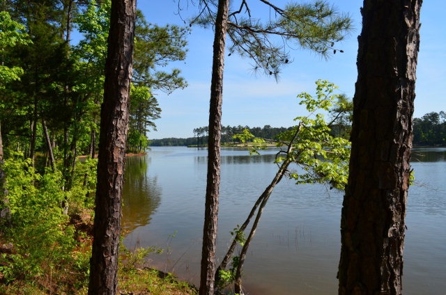 Lot 14, Block 4Faveran Lane, McCormick, SC 29835
