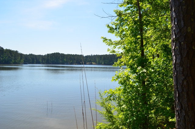 Lot 14, Block 4Faveran Lane, McCormick, SC 29835