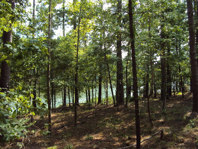 L2 B16 Madison Drive, McCormick, SC 29835