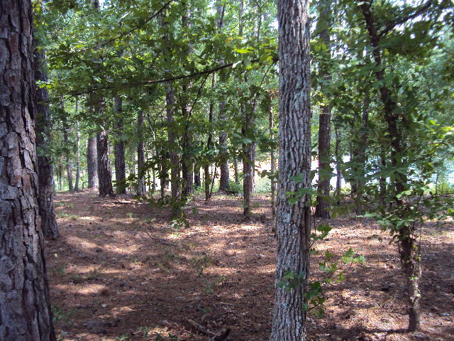 L2 B16 Madison Drive, McCormick, SC 29835
