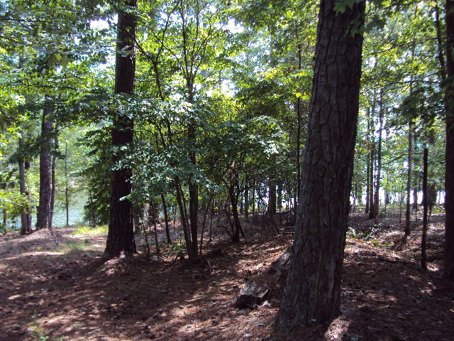 L2 B16 Madison Drive, McCormick, SC 29835