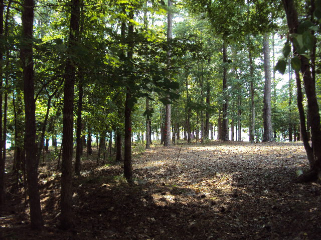 L2 B16 Madison Drive, McCormick, SC 29835