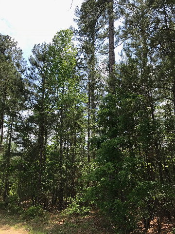 L14 B44 Laurens Drive, McCormick, SC 29835