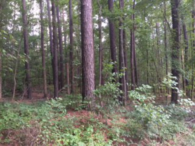 0 Ascauga Lake Road, North Augusta, SC 29841