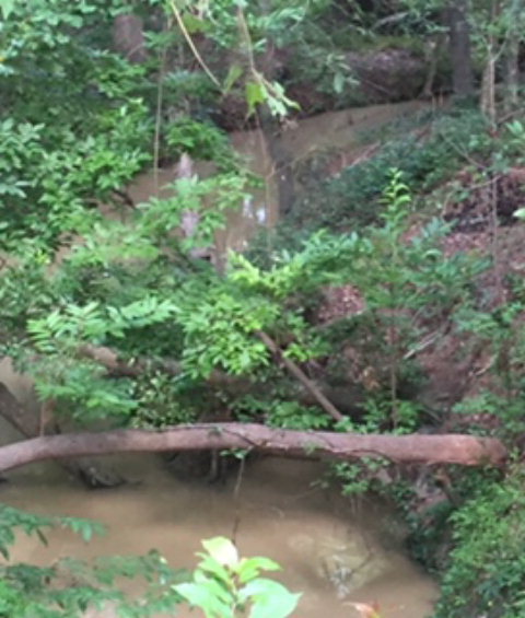 0 Ascauga Lake Road, North Augusta, SC 29841