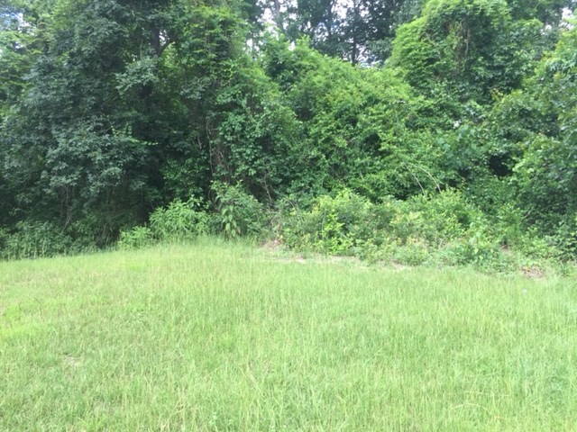 0 Toole Circle, Beech Island, SC 29842