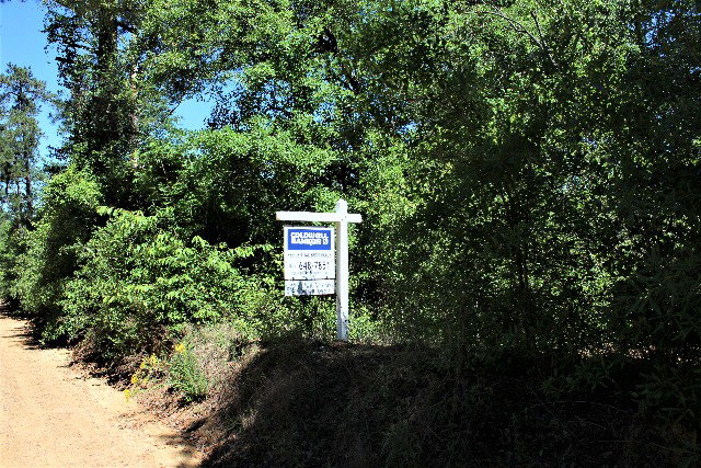 Parcel A Whittle Pond Rd., Williston, SC 29853