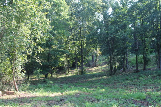 2176 Edisto Church Road