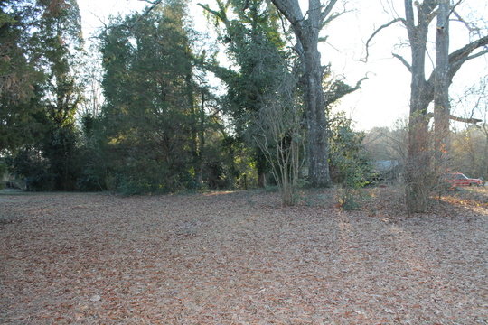 2176 Edisto Church Road
