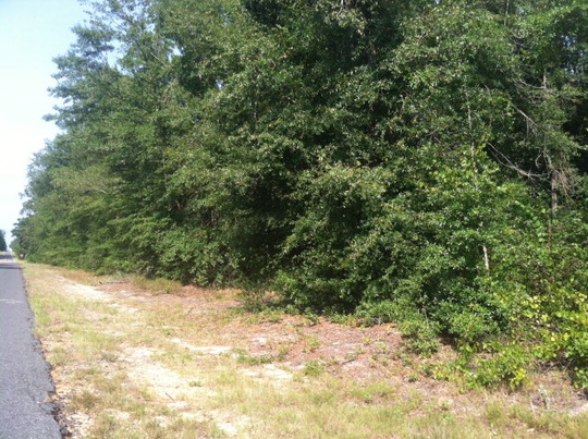 00 Centerwood Road