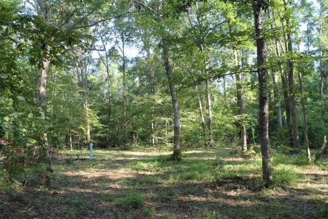 Lot 6 Gregory Lake Road, North Augusta, SC 29860