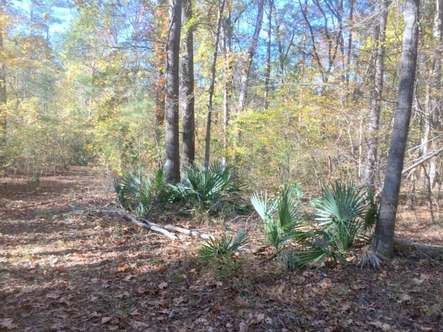 Lot 7 Gregory Lake Road, North Augusta, SC 29860