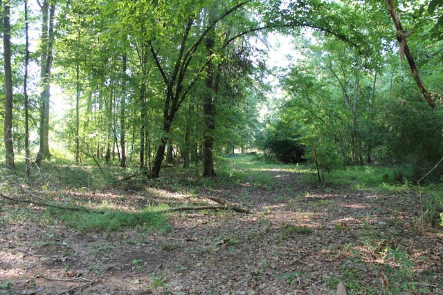 Lot 7 Gregory Lake Road, North Augusta, SC 29860