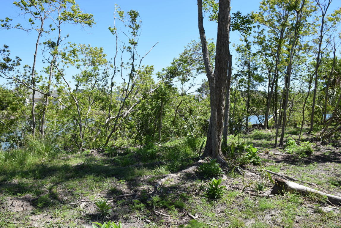 113 Dolphin Point Drive, Beaufort, SC 29907