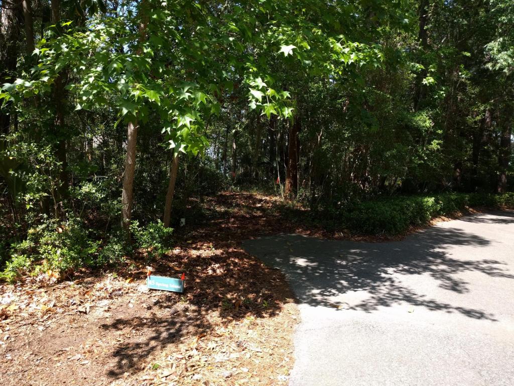 45 Spring Island Drive, Okatie, SC 29909