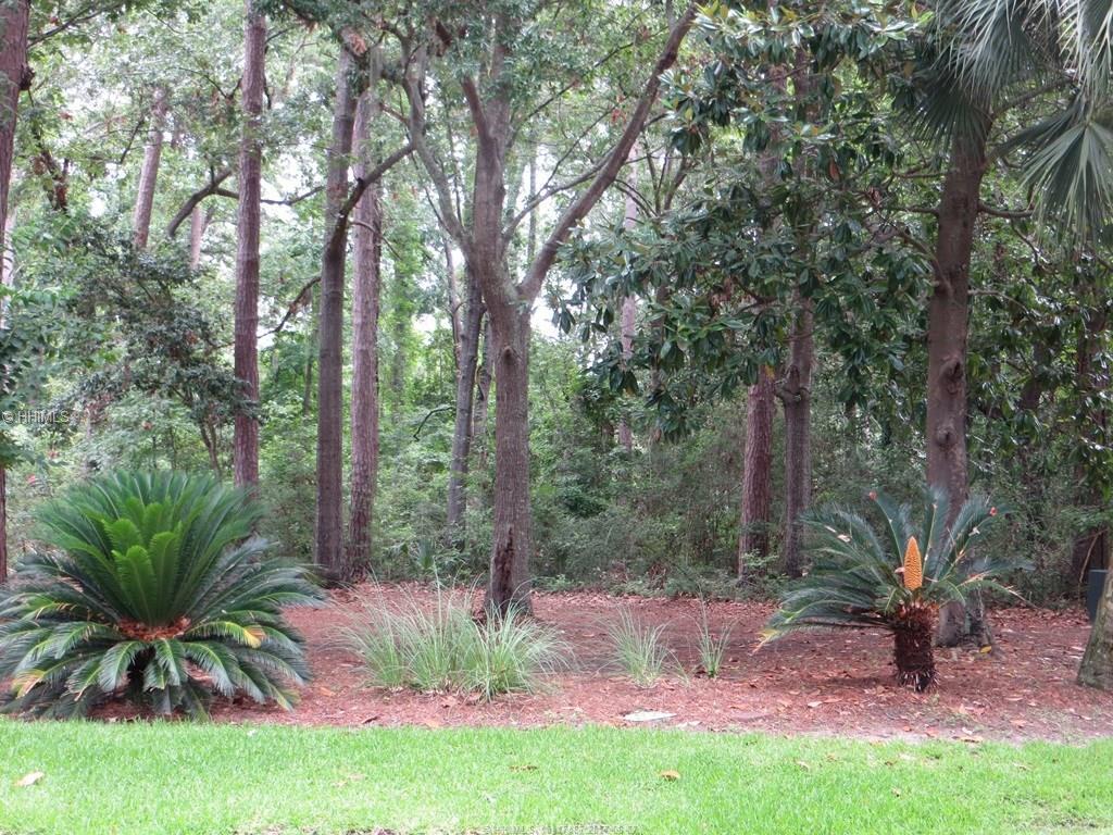 204 Callawassie DRIVE, Okatie, SC 29909