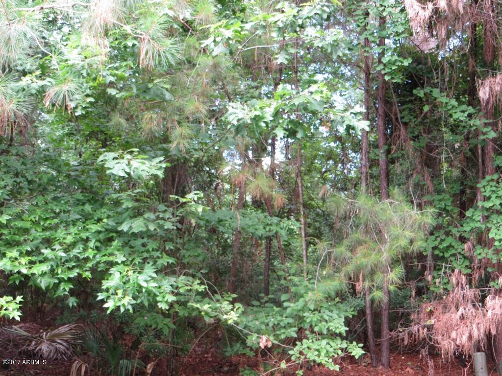 204 Callawassie Drive, Okatie, SC 29909