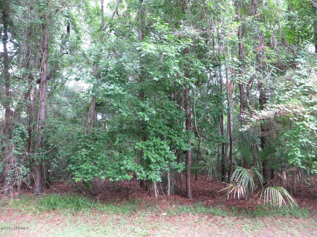 204 Callawassie Drive, Okatie, SC 29909