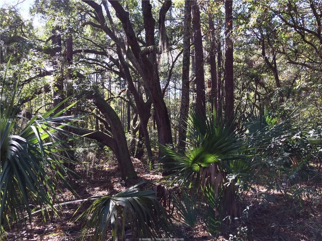 156 Prospect ROAD, Daufuskie Island, SC 29915