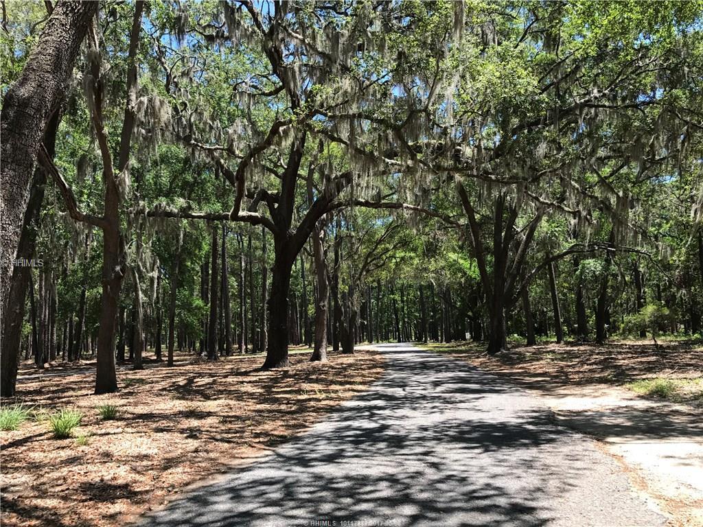 10 Masters COURT, Daufuskie Island, SC 29915