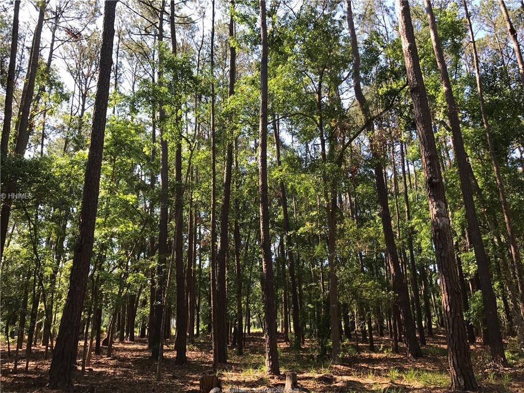 10 Masters COURT, Daufuskie Island, SC 29915