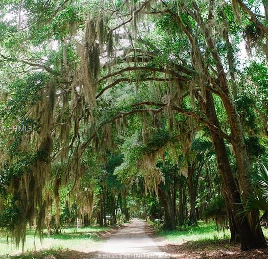 89 Martinangel LANE, Daufuskie Island, SC 29915