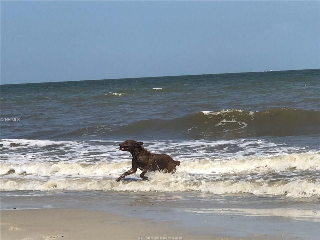 1 Turtles Pace LANE, Daufuskie Island, SC 29915