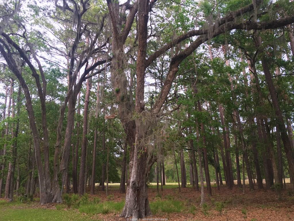25 Martinangel LANE, Daufuskie Island, SC 29915