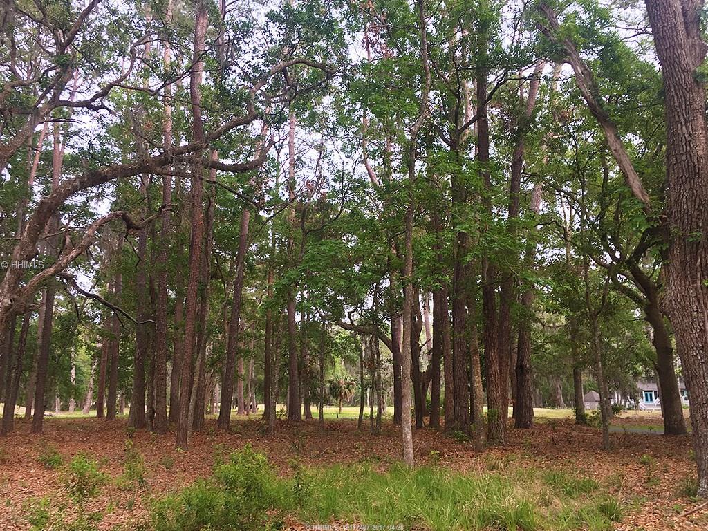 25 Martinangel LANE, Daufuskie Island, SC 29915