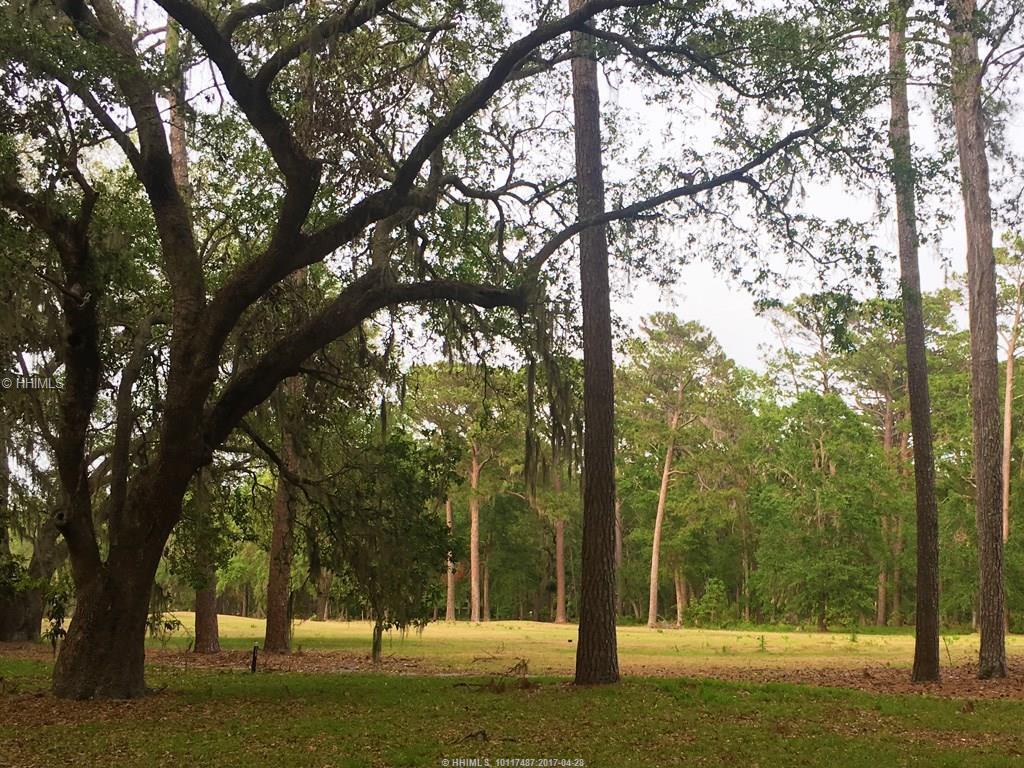 25 Martinangel LANE, Daufuskie Island, SC 29915