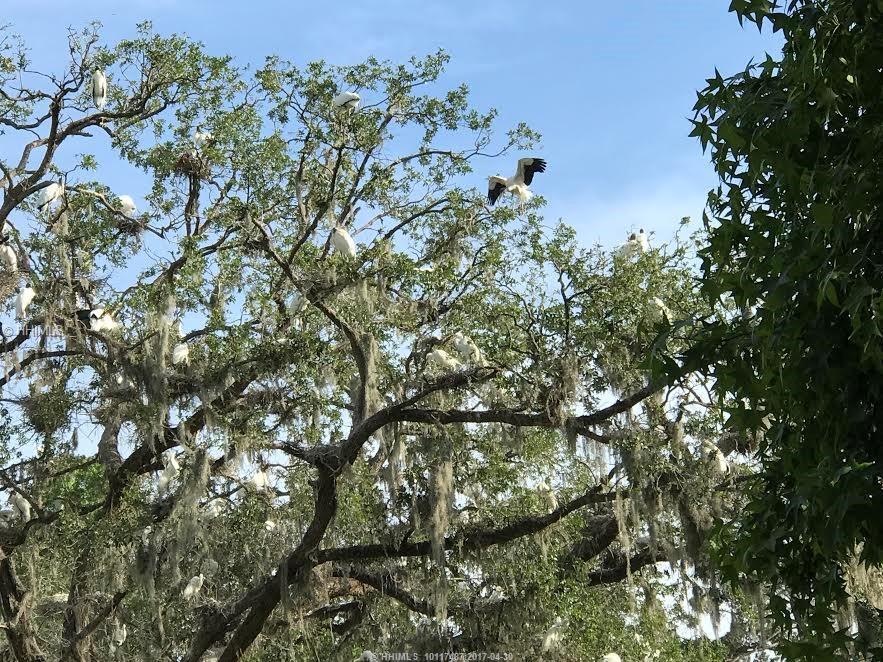 62 Maryfield ROAD, Daufuskie Island, SC 29915