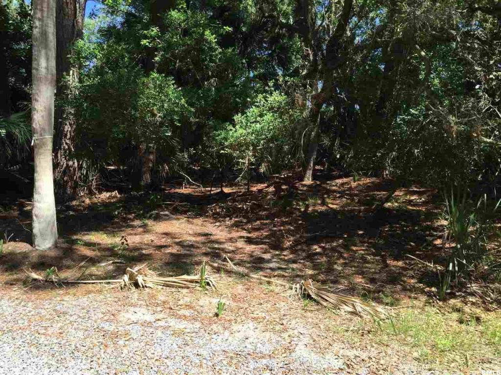 455 Porpoise Circle, Fripp Island, SC 29920
