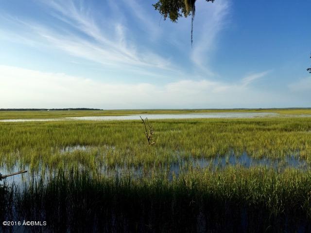 Par FJoe Frazier Rd, St. Helena Island, SC 29920