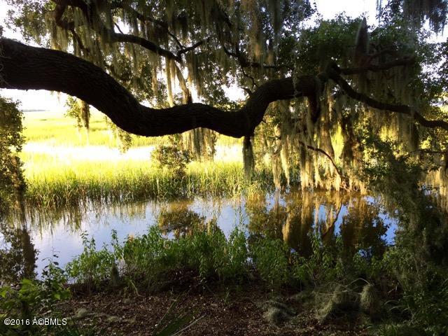 Par FJoe Frazier Rd, St. Helena Island, SC 29920