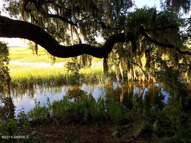 Par FJoe Frazier Rd, St. Helena Island, SC 29920