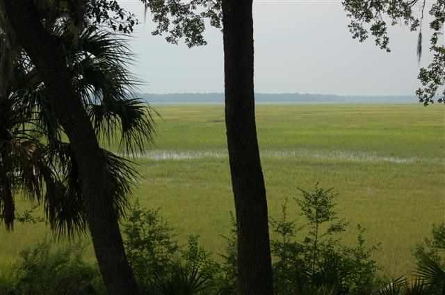 216 Cotton Dike Road, Dataw Island, SC 29920