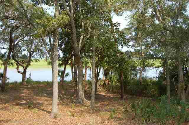 216 Cotton Dike Road, Dataw Island, SC 29920
