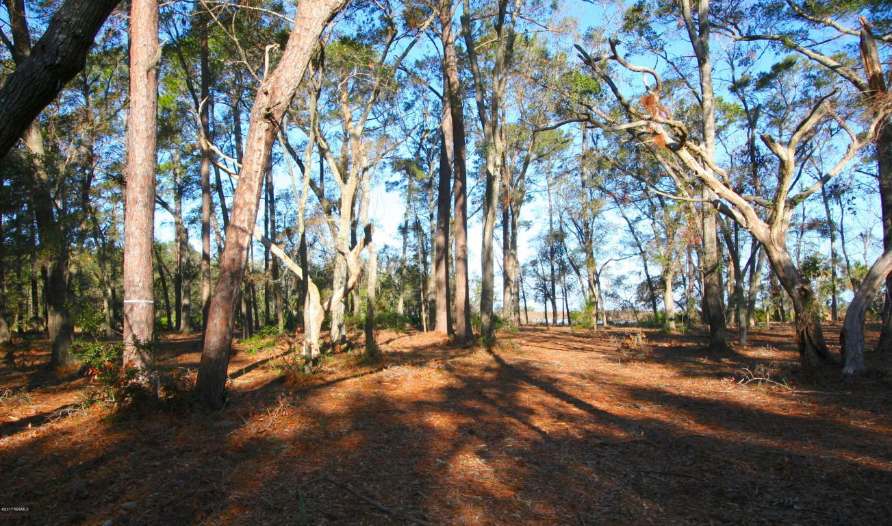 345 Fripp Point Road, St. Helena Island, SC 29920