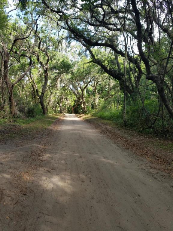 Tbd Mcteer Drive, St. Helena Island, SC 29920