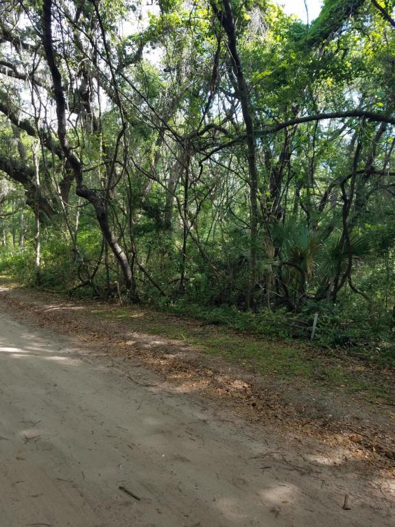 Tbd Mcteer Drive, St. Helena Island, SC 29920