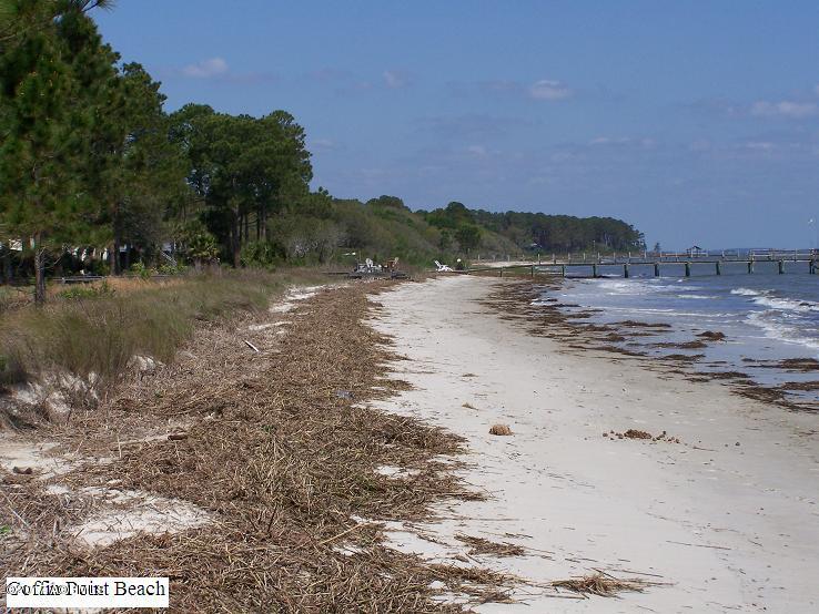 Tbd Mcteer Drive, St. Helena Island, SC 29920