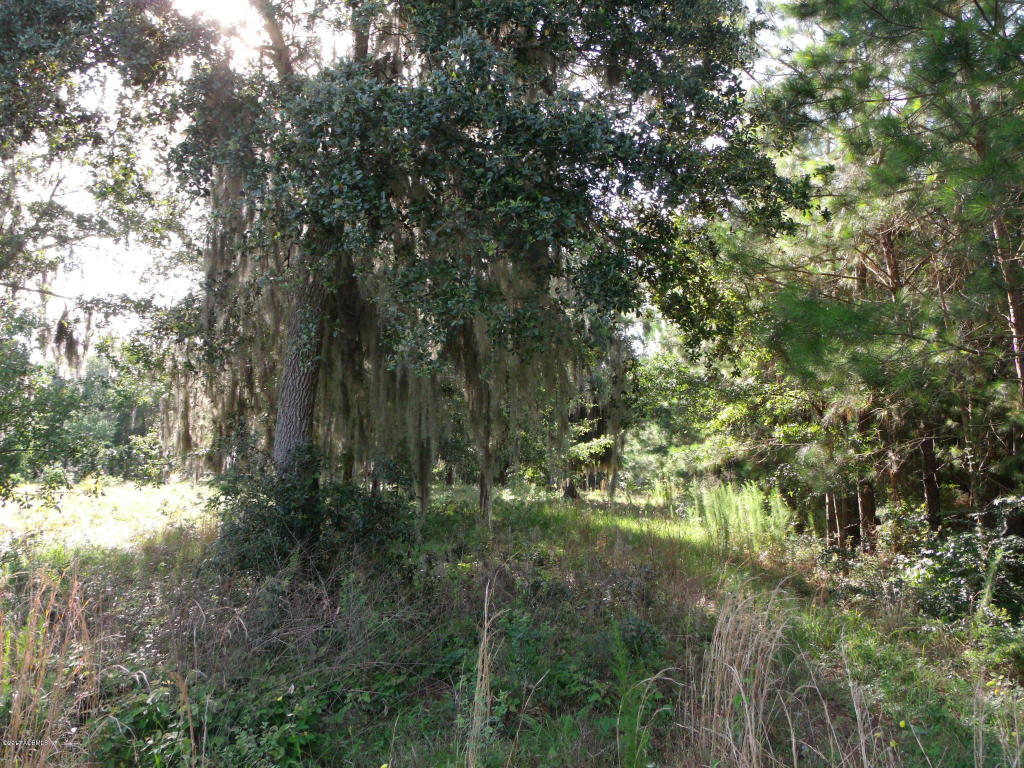 227 Bay Point, St. Helena Island, SC 29920