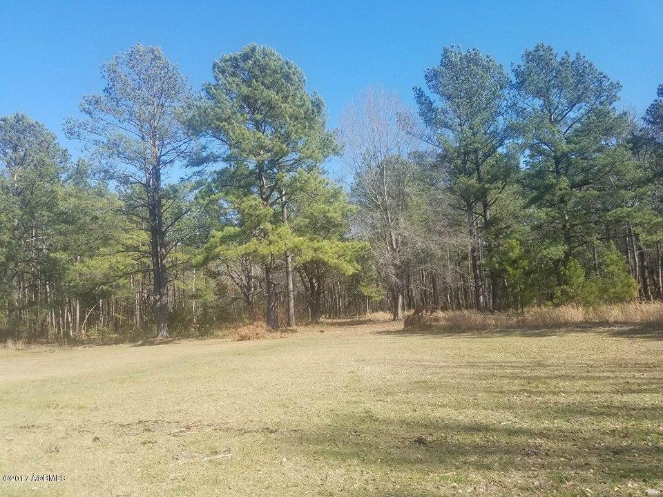 379 Ervin Green Road, Pineland, SC 29934