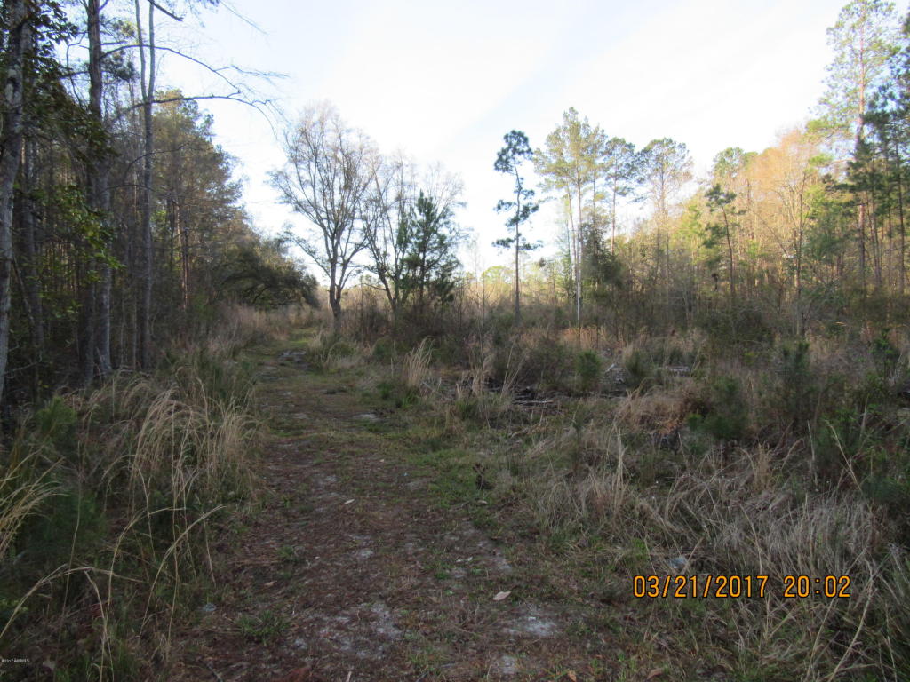 Tbd Great Swamp Road, Ridgeland, SC 29936