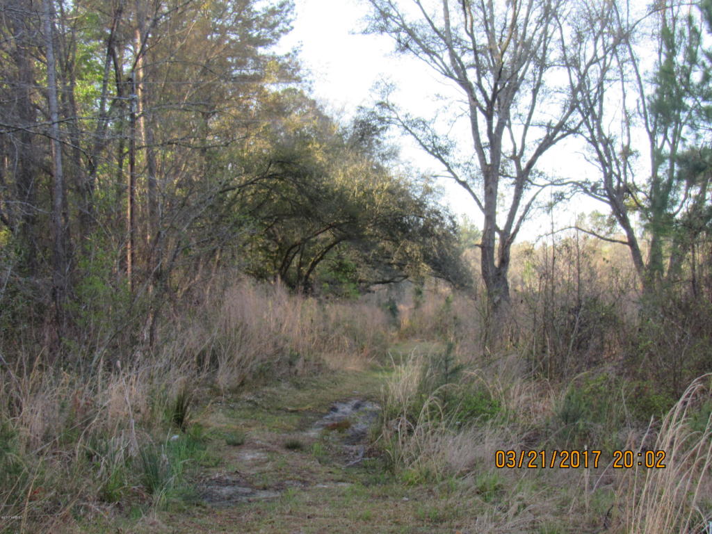 Tbd Great Swamp Road, Ridgeland, SC 29936