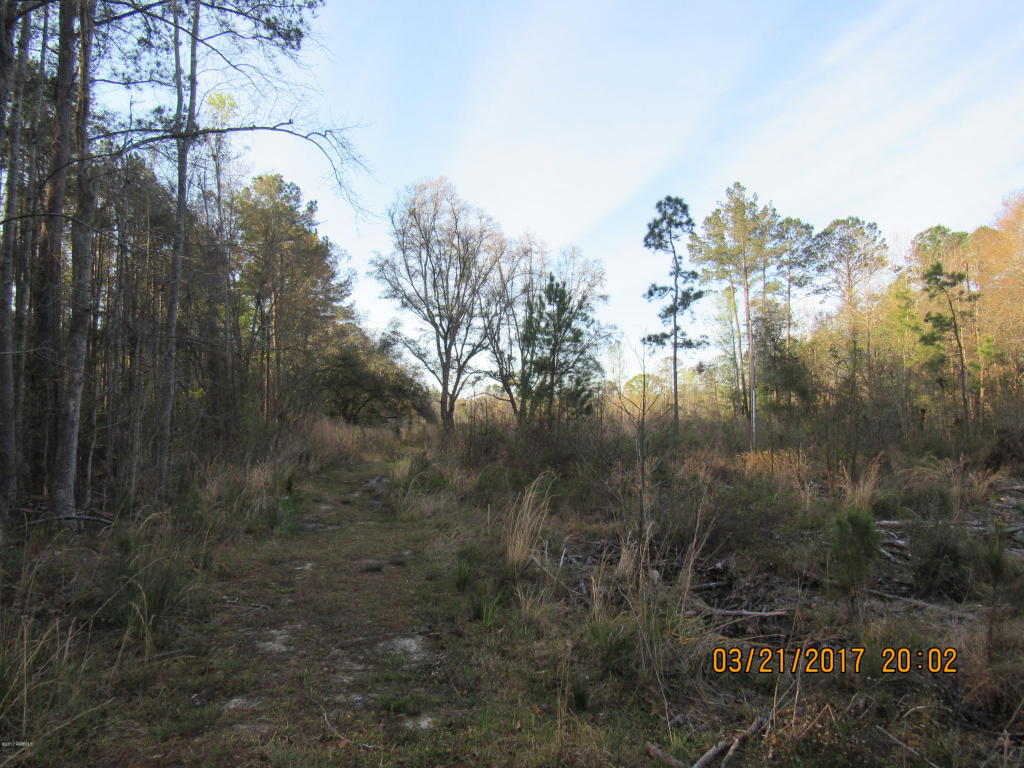Tbd Great Swamp Road, Ridgeland, SC 29936