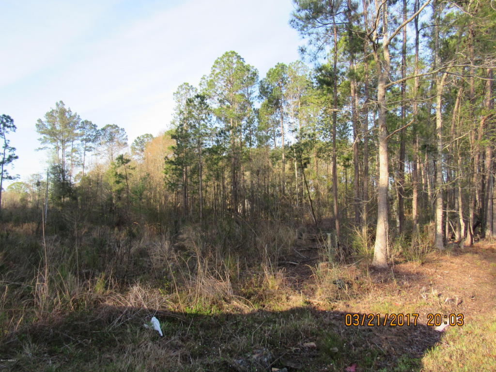 Tbd Great Swamp Road, Ridgeland, SC 29936