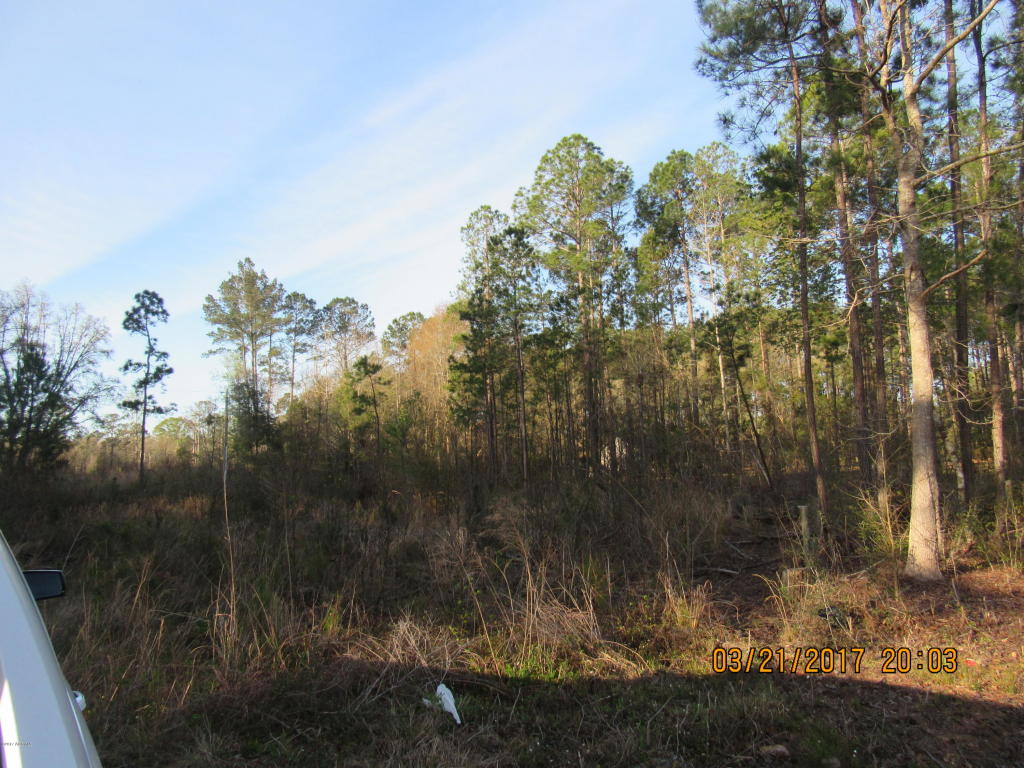 Tbd Great Swamp Road, Ridgeland, SC 29936