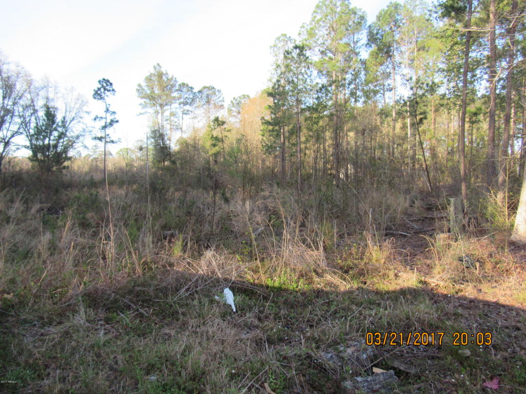 Tbd Great Swamp Road, Ridgeland, SC 29936